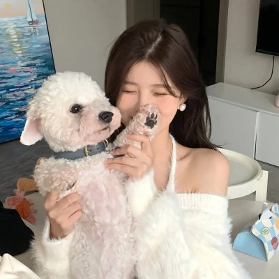 鸣鸿传